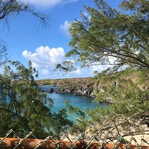 Meet your Posher, Claire